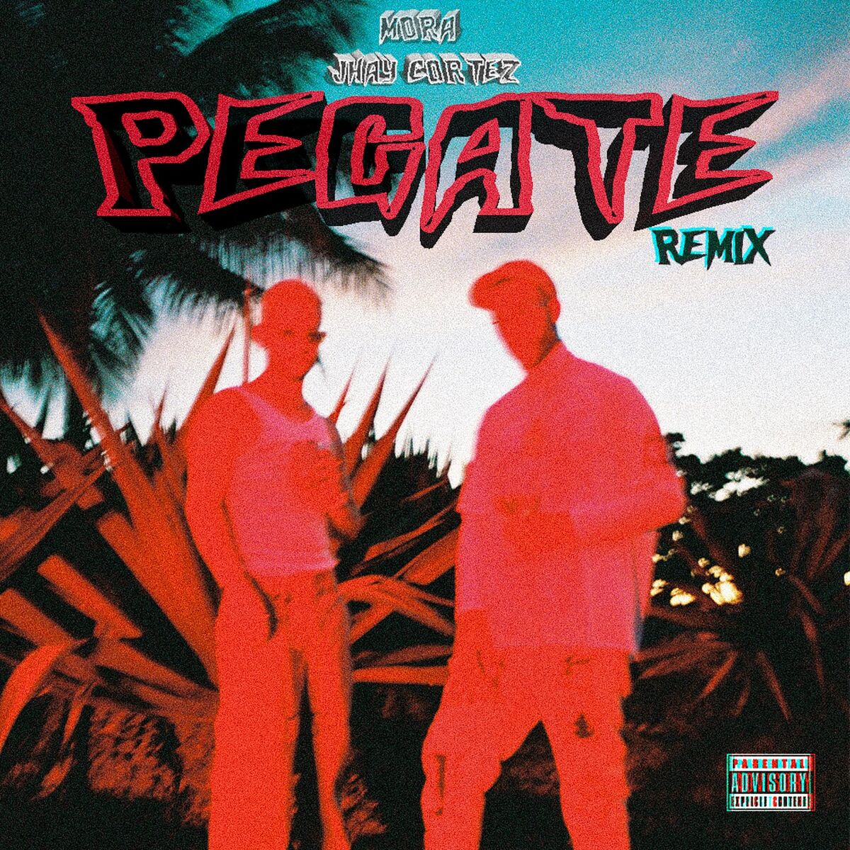 Album cover of Pegate