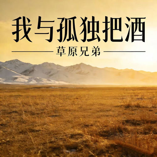 我与孤独把酒 (大家开心就好语录版)
