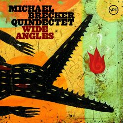 Cover of Wide Angles