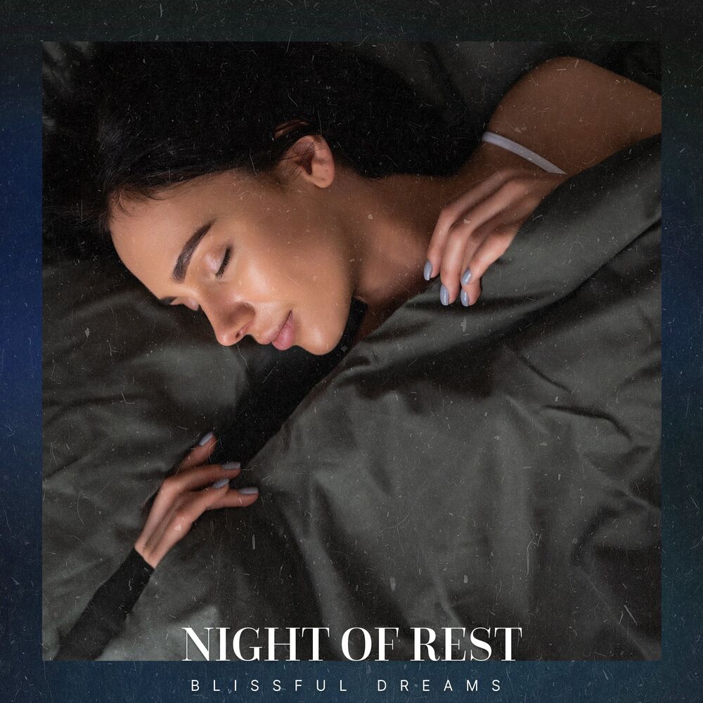 Picture of Night of Rest