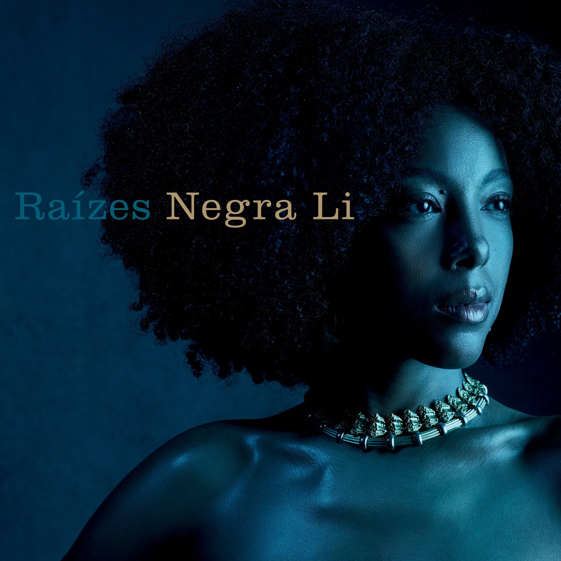Album cover of Raízes