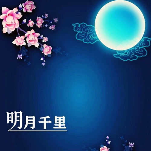 明月千里