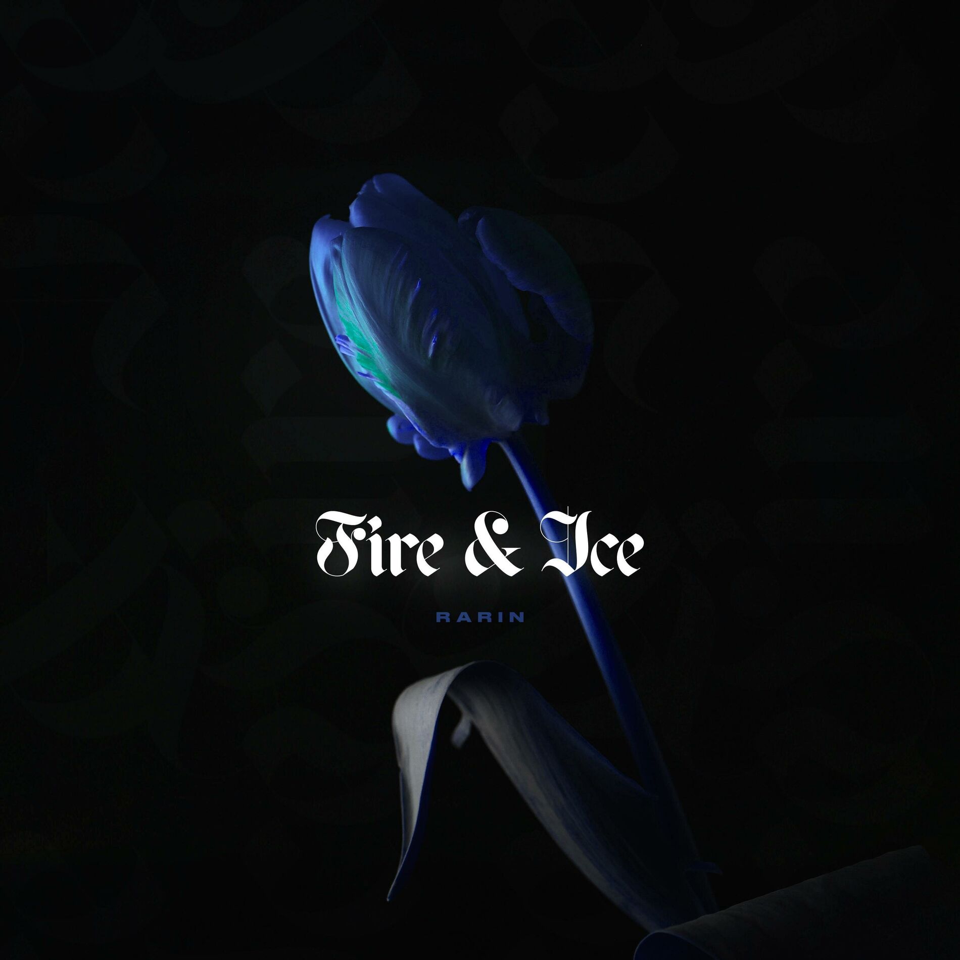 Album cover of Fire & Ice