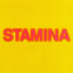 Cover of STAMINA