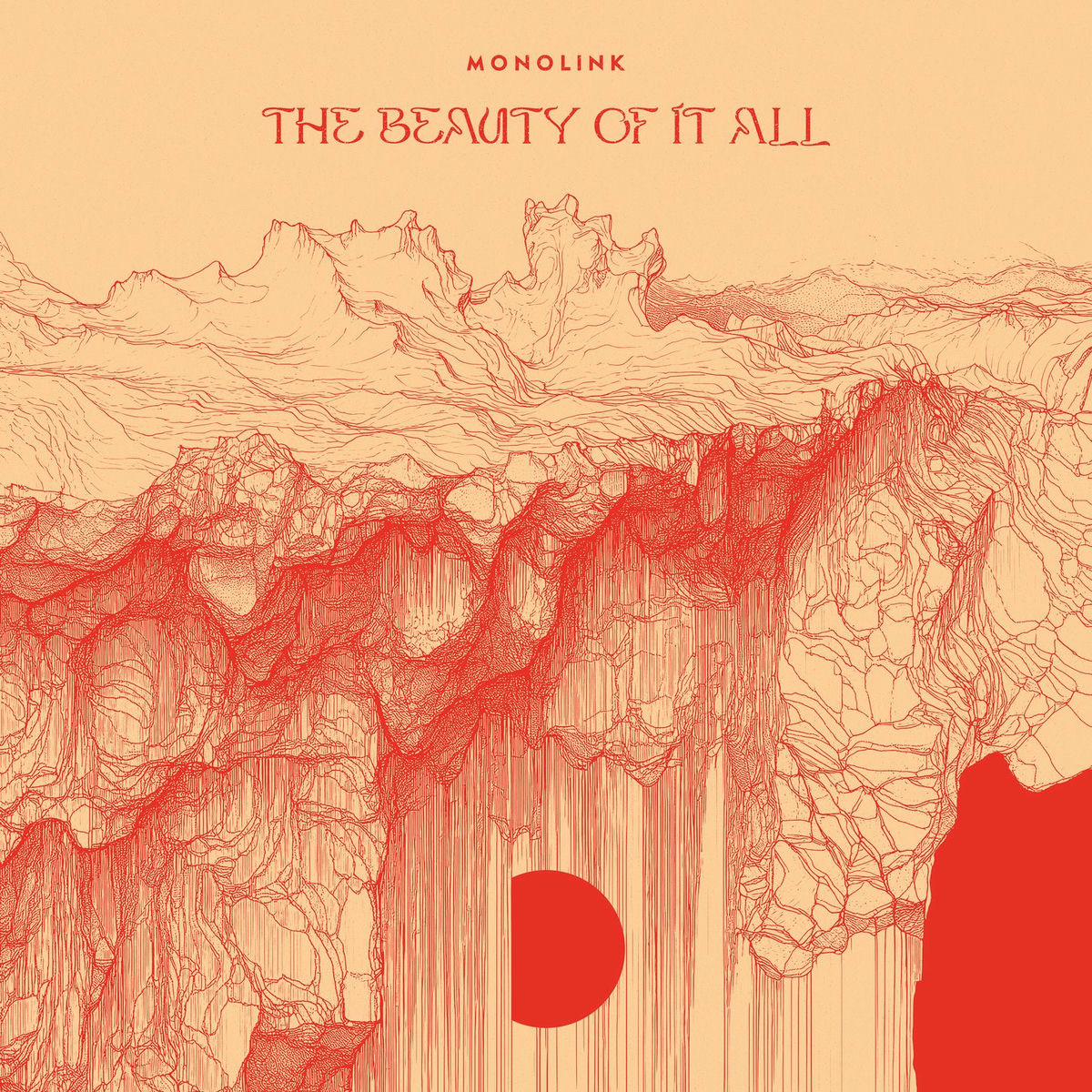 Album cover of The Beauty Of It All