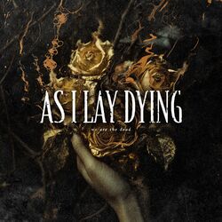 Cover of We Are The Dead