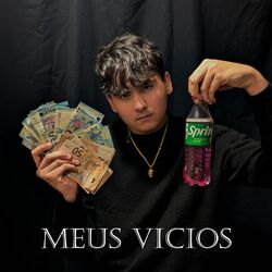 Cover of Meus vicios