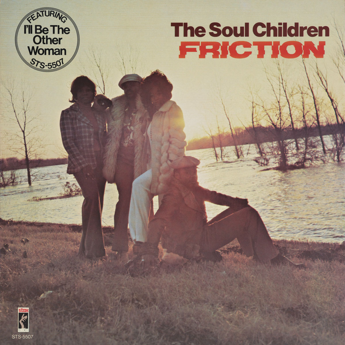 Album cover of Friction