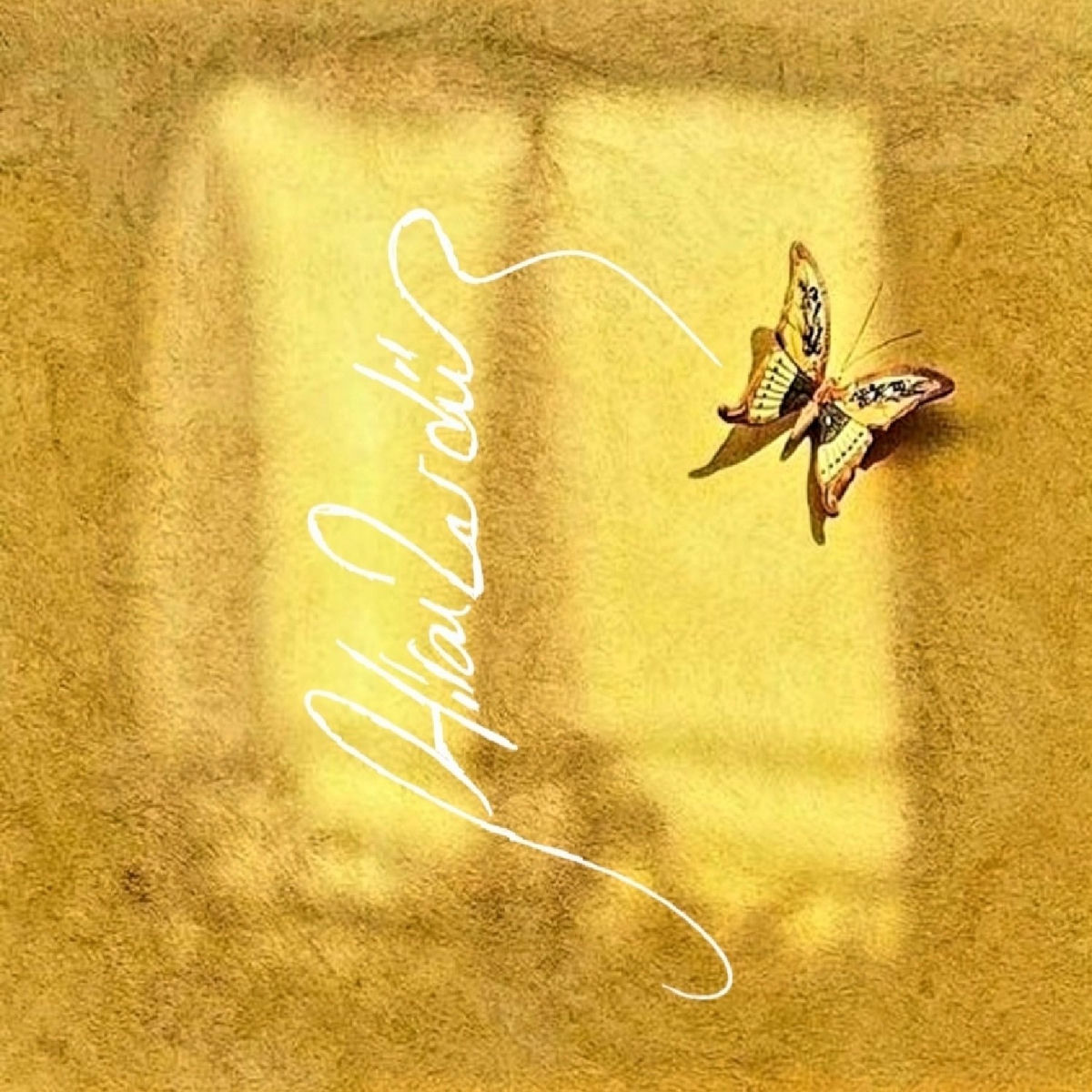 Album picture of Ne Kadar Acıyor Yüreğim