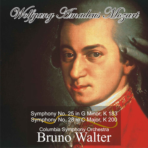 Symphony No. 28 in C Major, K. 200*: II. Andante by Bruno Walter - 116 BPM