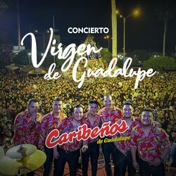Cover of Concierto Virgen de Guadalupe (En Vivo)