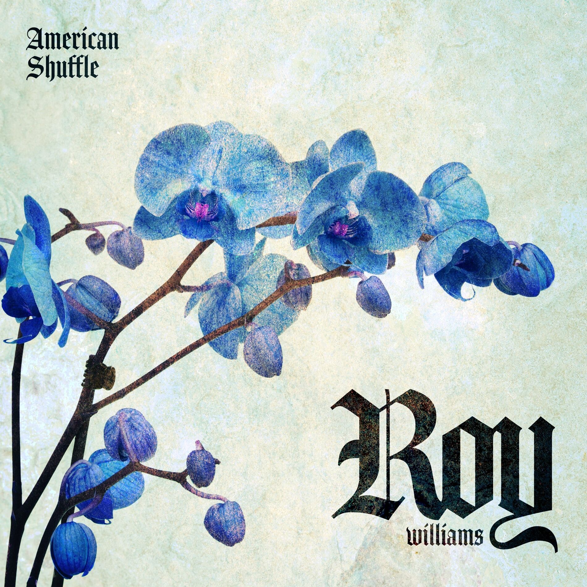 Album cover of American Shuffle