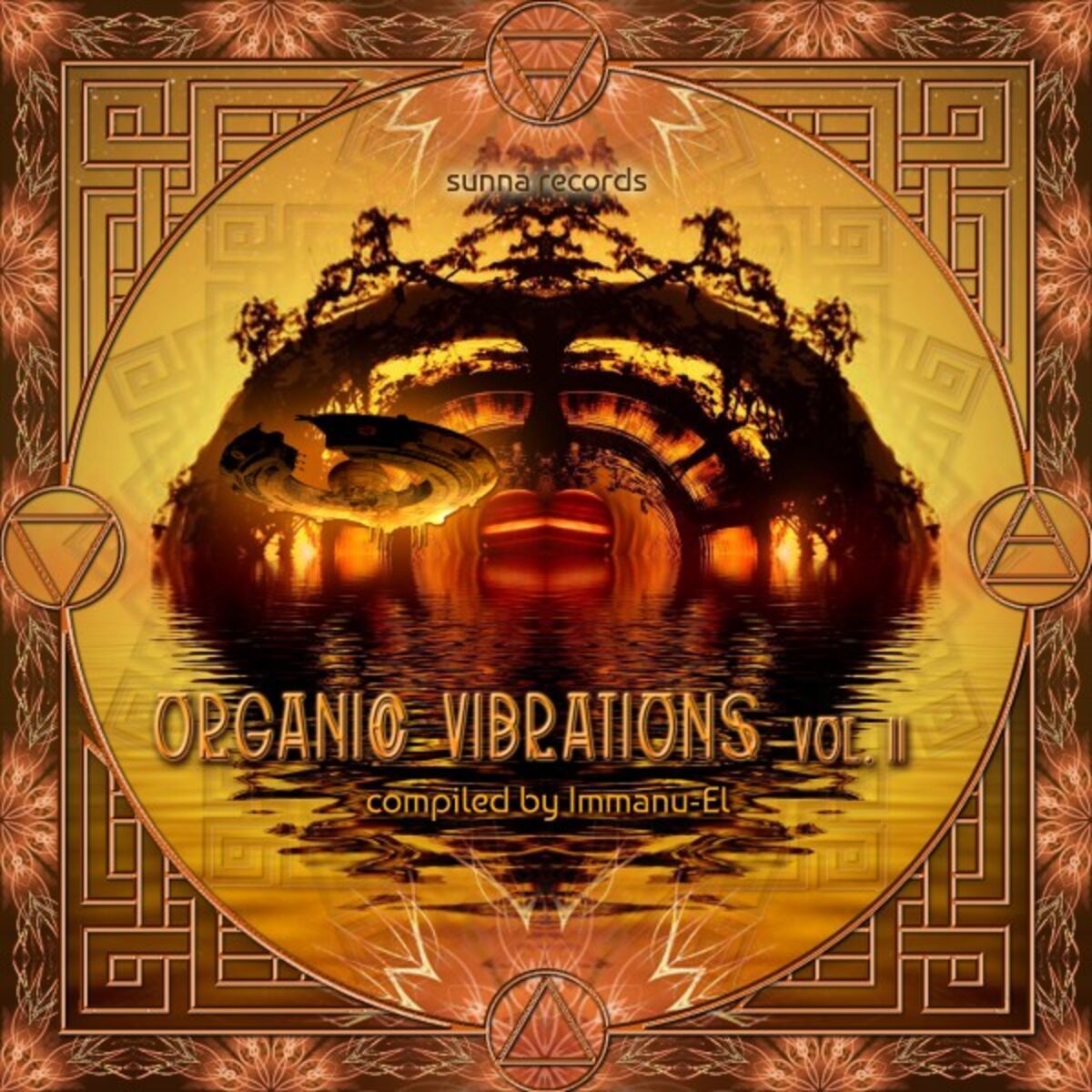 Album cover of Organic Vibrations, Vol. 2