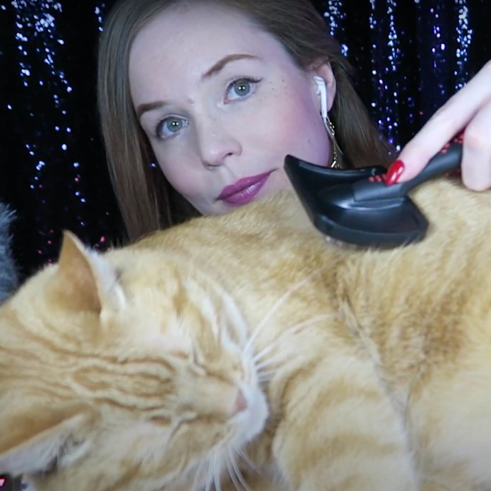 Album cover of Cat Tingles ASMR, Pt. 3
