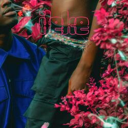 Cover of Ileke