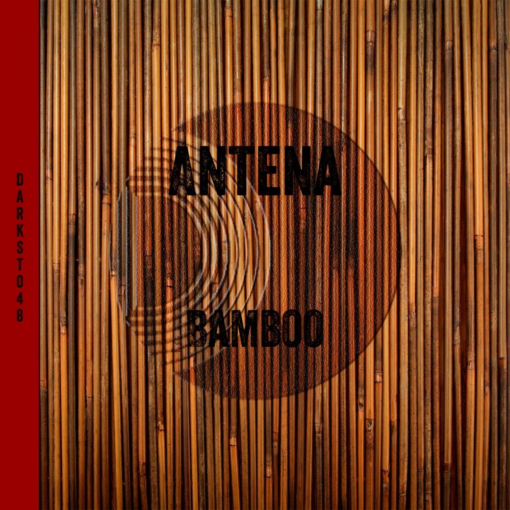 Picture of Bamboo