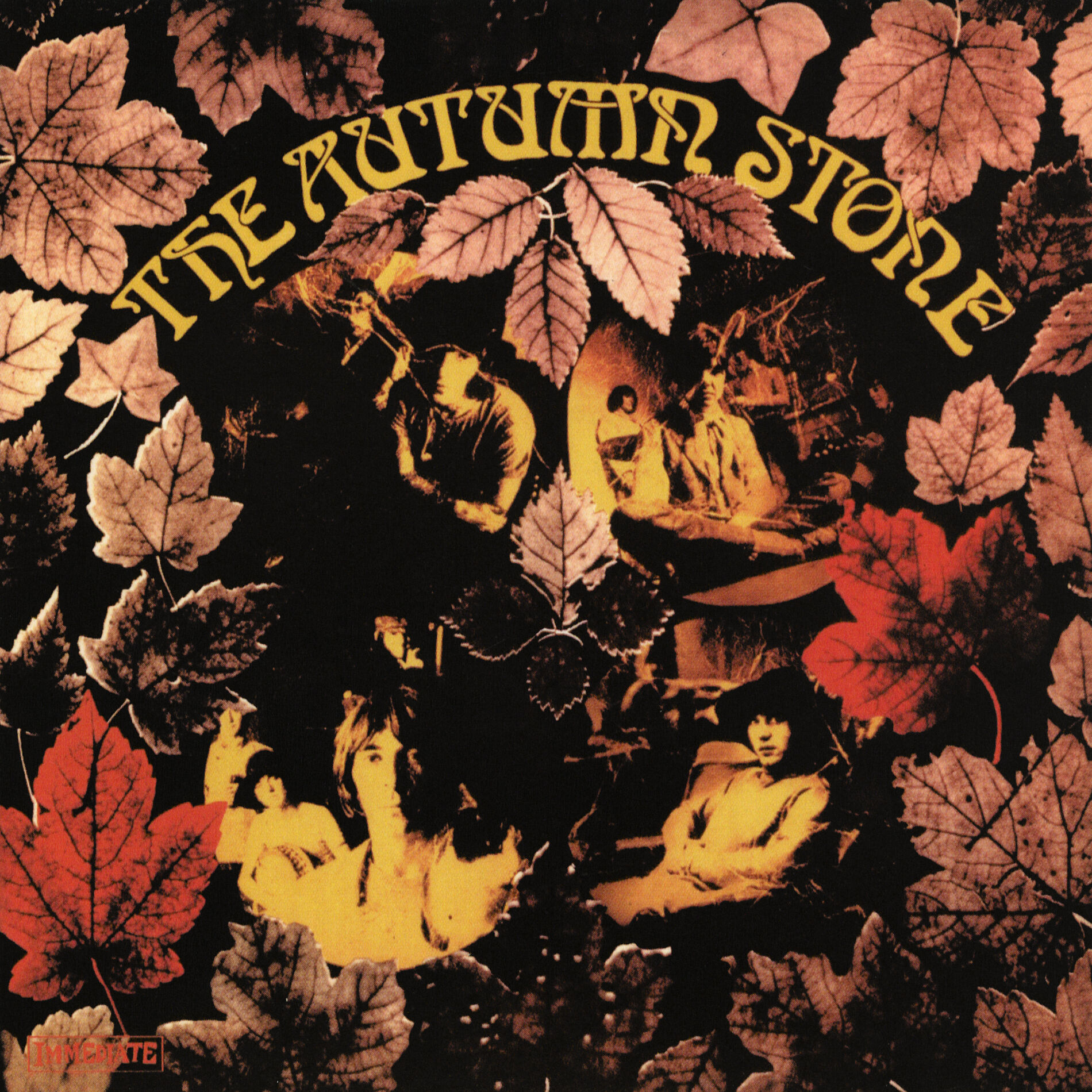 Album cover of The Autumn Stone