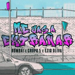 Cover of Me Vas a Extrañar