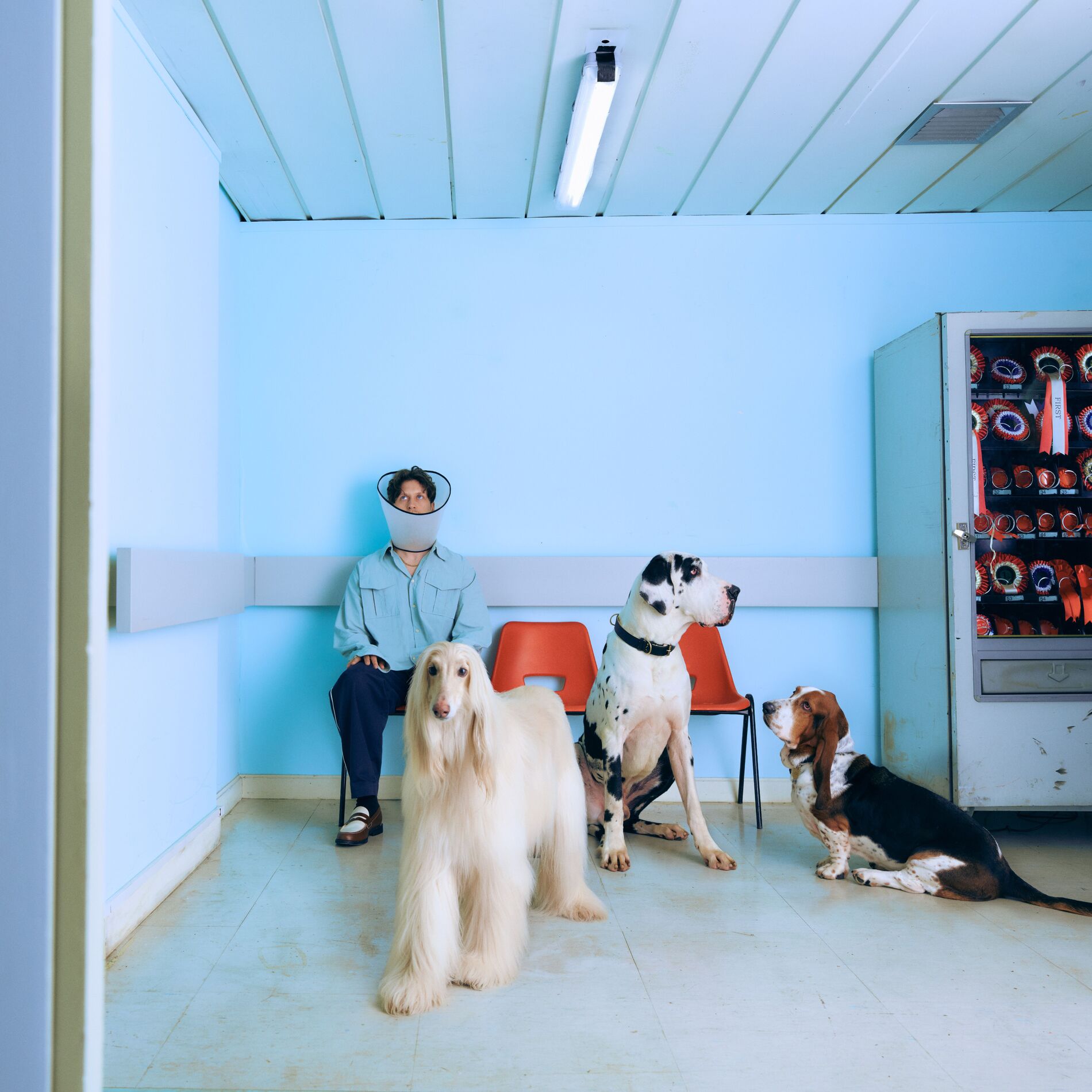 Album cover of Different
