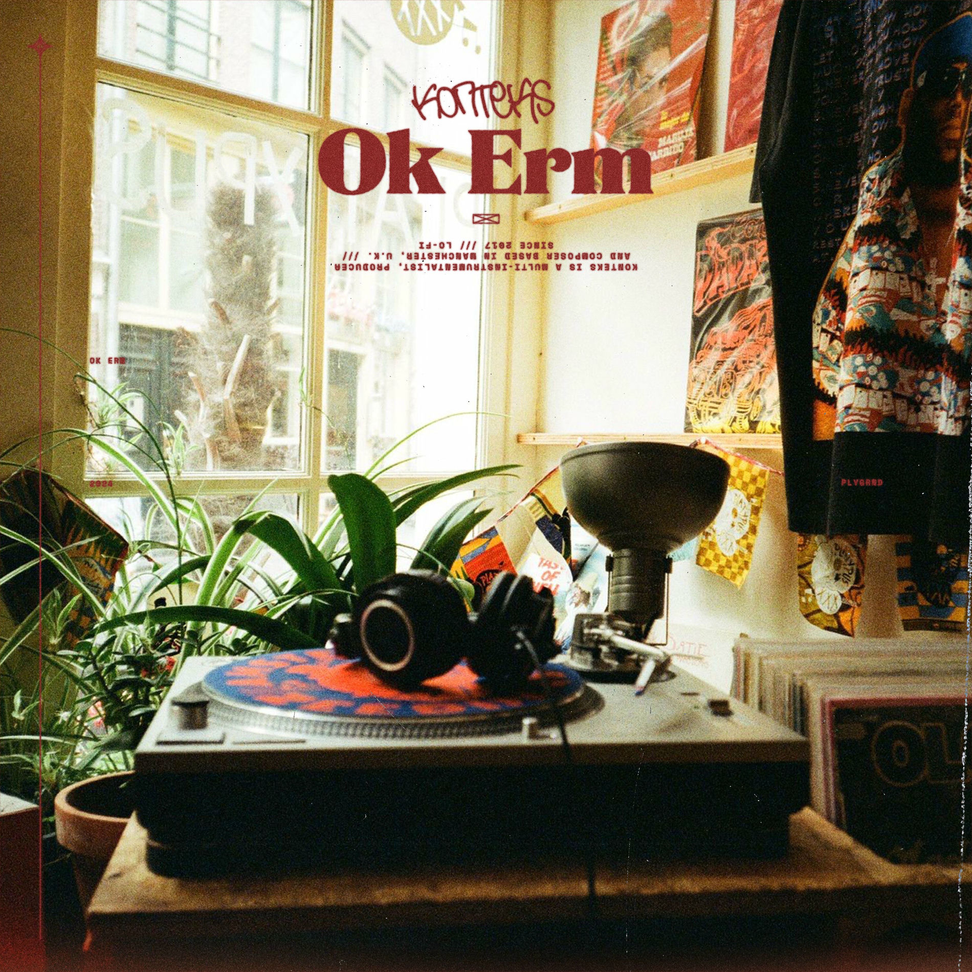 Album cover of Ok Erm