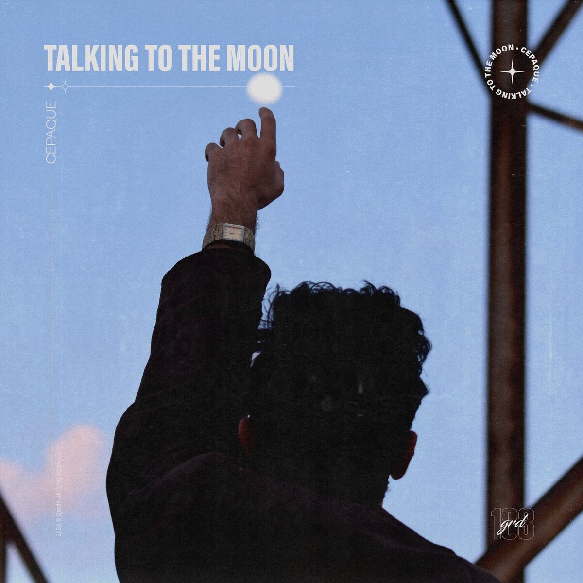 Album cover of Talking to the Moon
