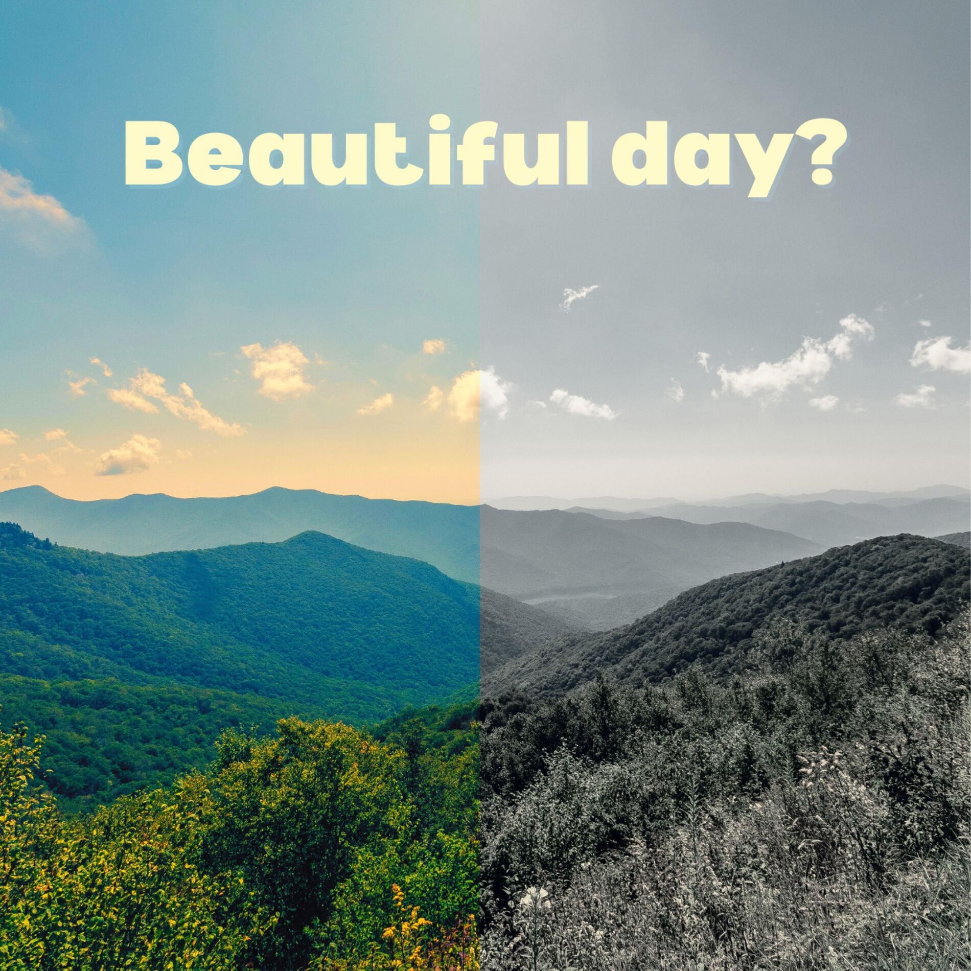 Album cover of Beautiful day?