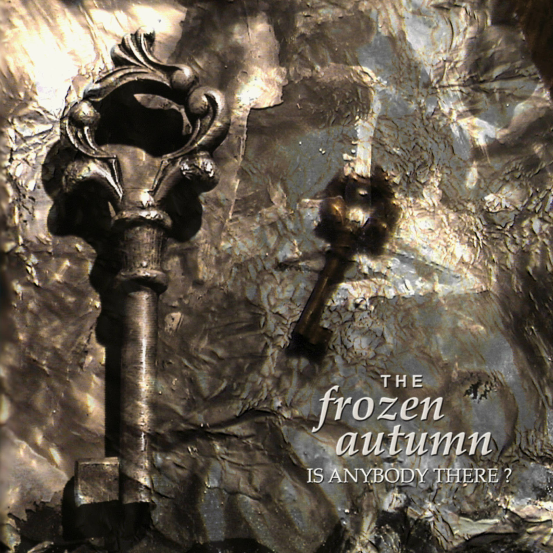 Album cover of Is Anybody There? (Original Remixes Version)