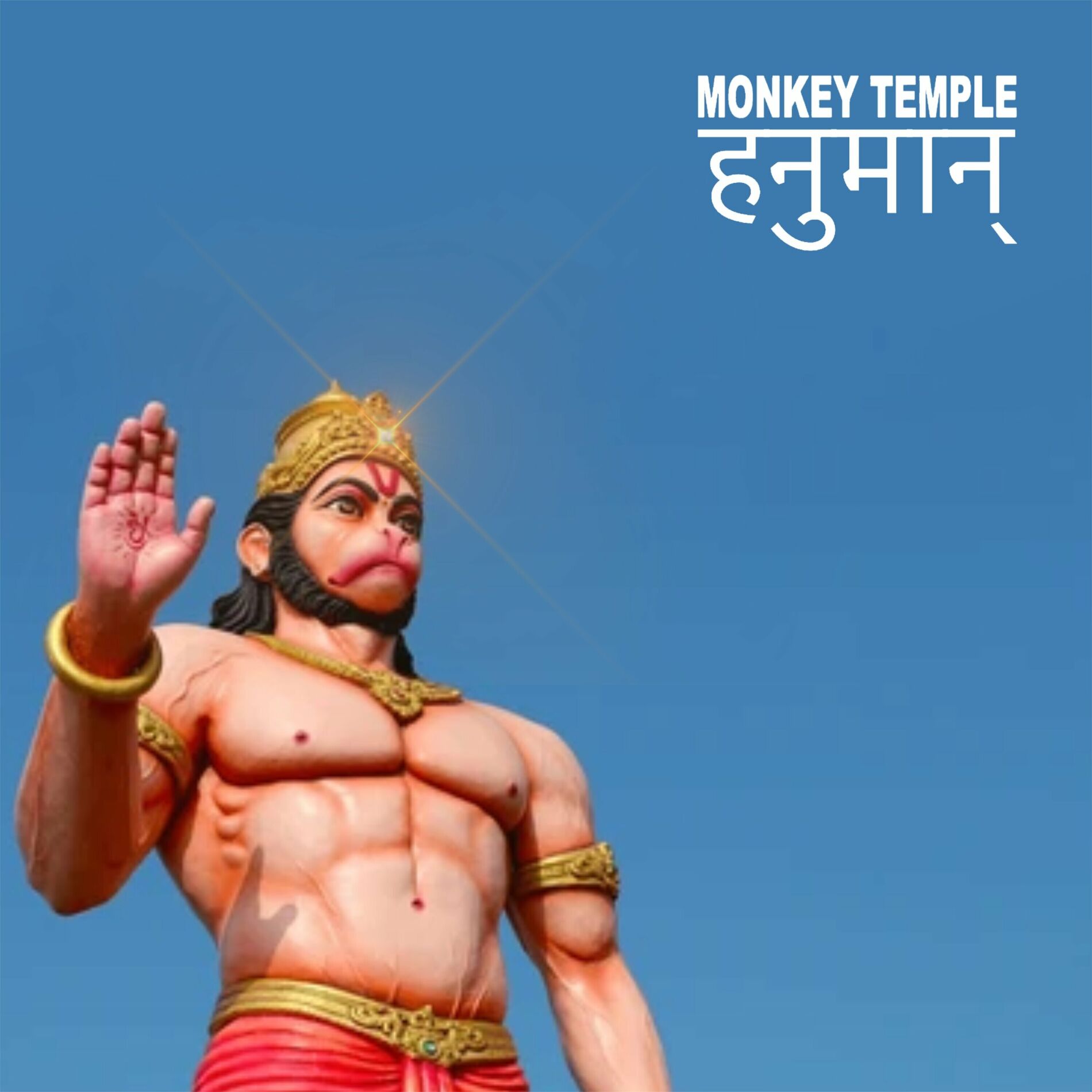 Album cover of Monkey Temple