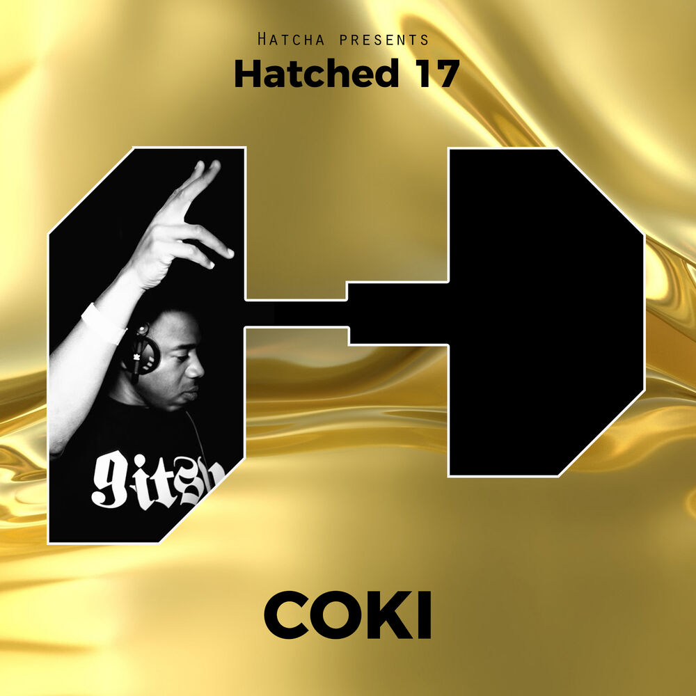 Picture of Hatched 17