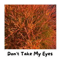 Cover of Don't Take My Eyes