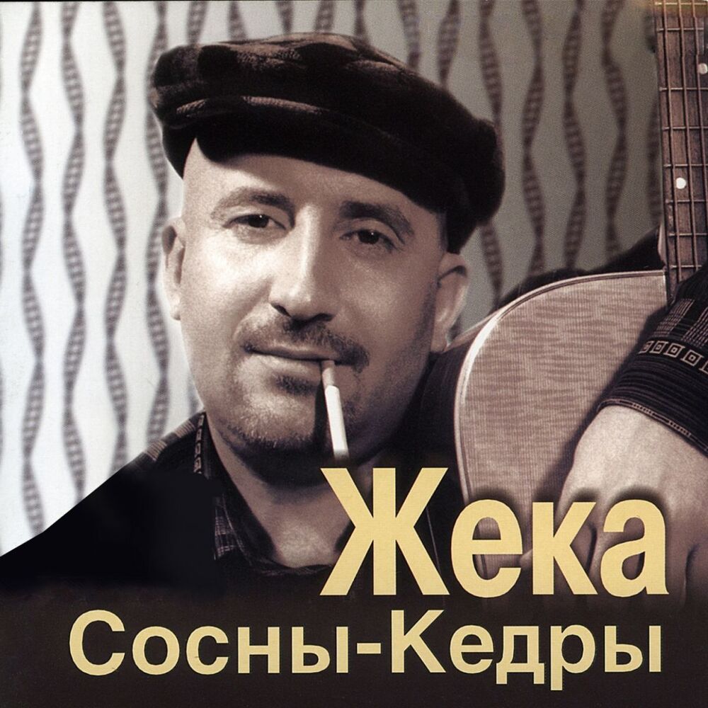 Picture of Сосны-кедры