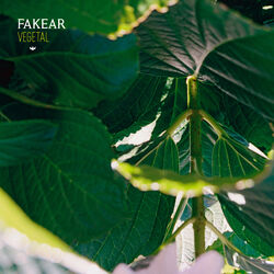 Cover of Vegetal: Offshoots EP
