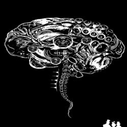 Cover of Erizo