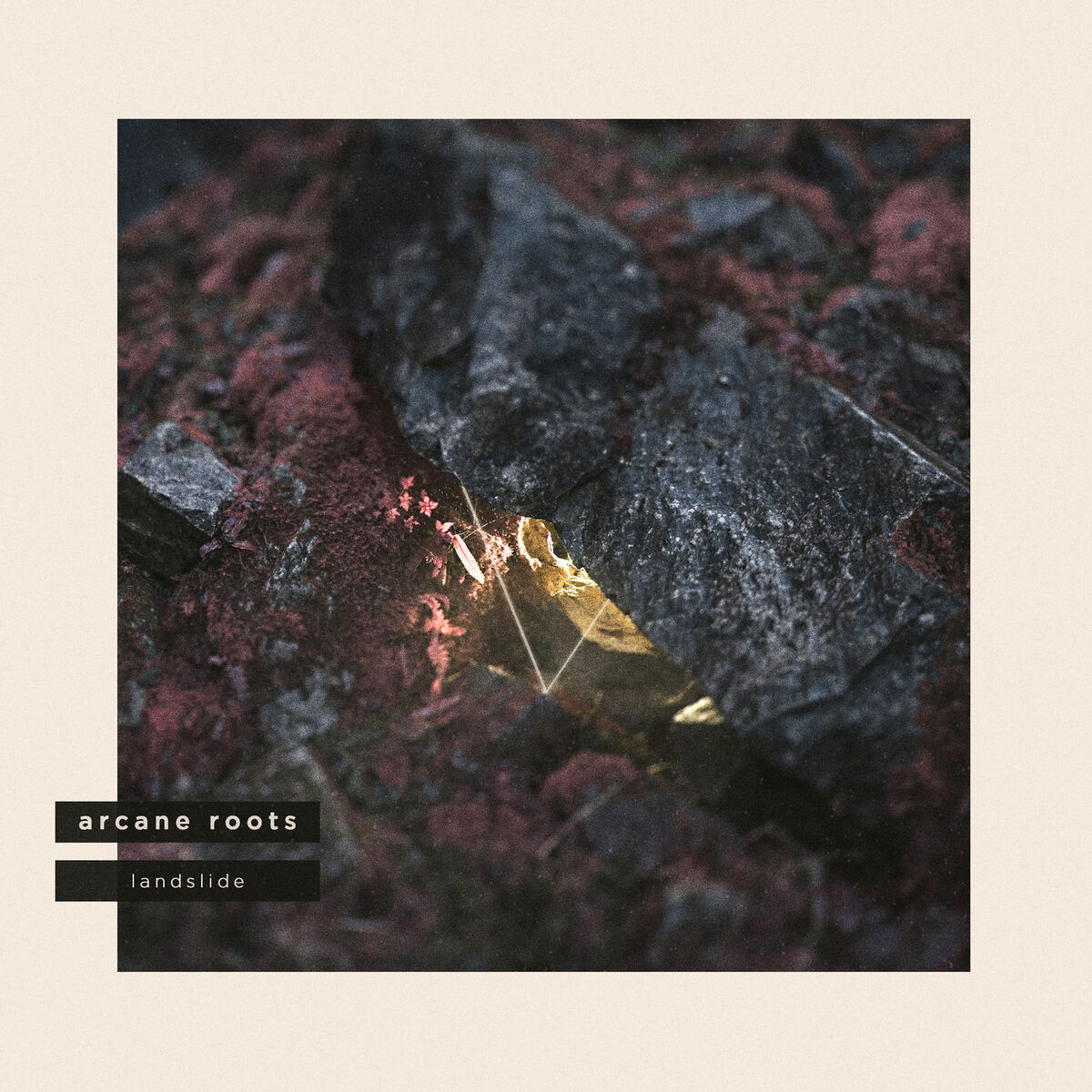 Album cover of Landslide