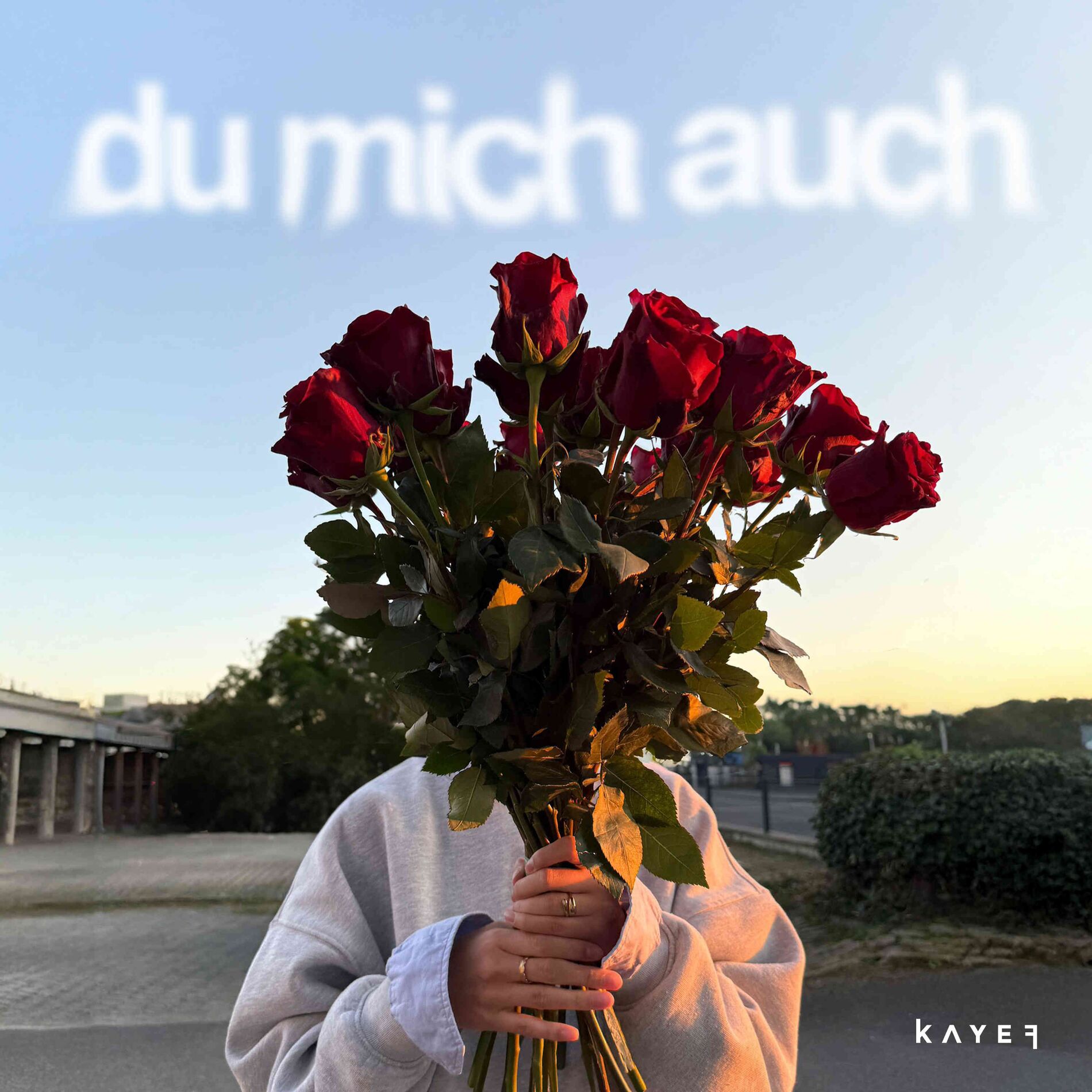 Album cover of DU MICH AUCH