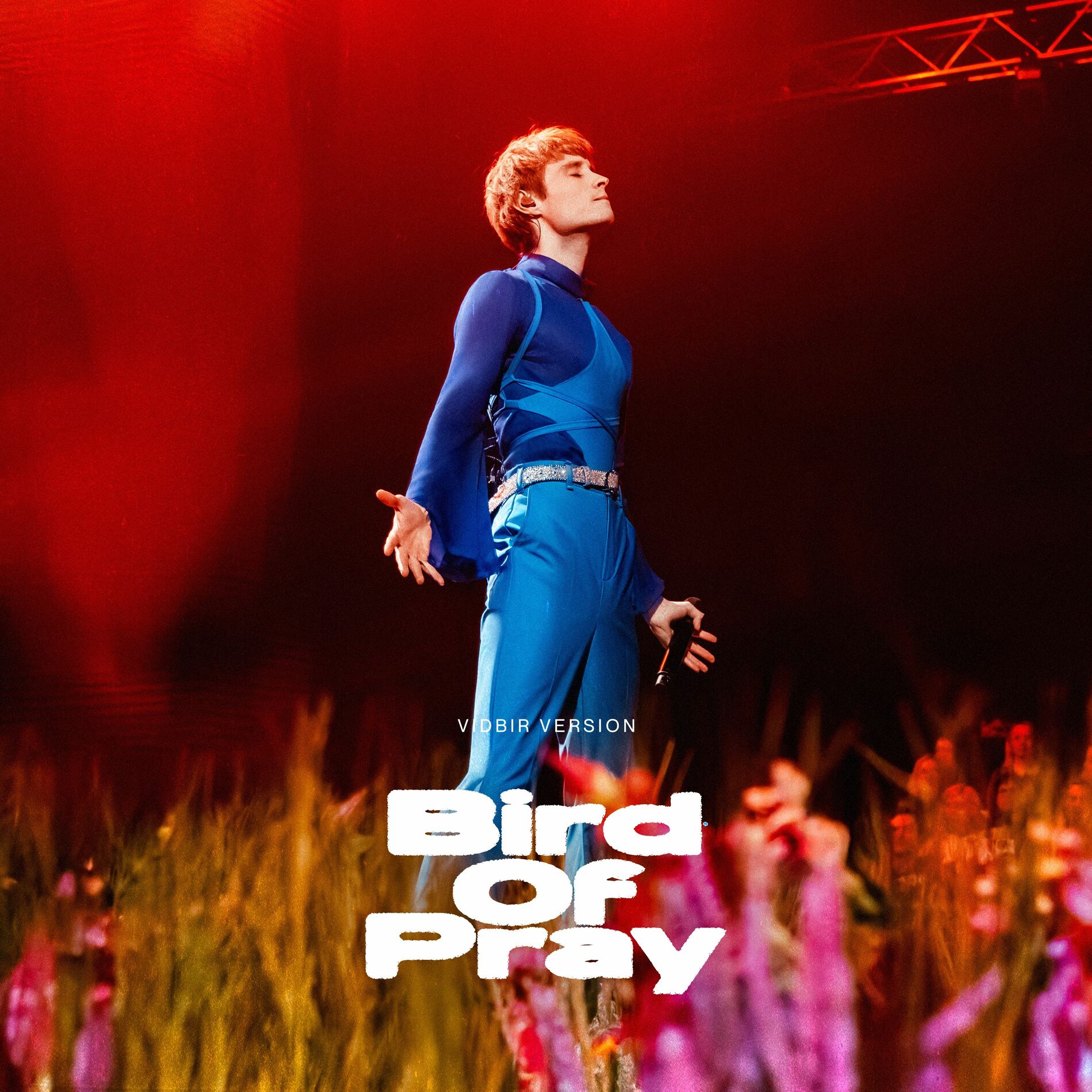 Album cover of Bird of Pray