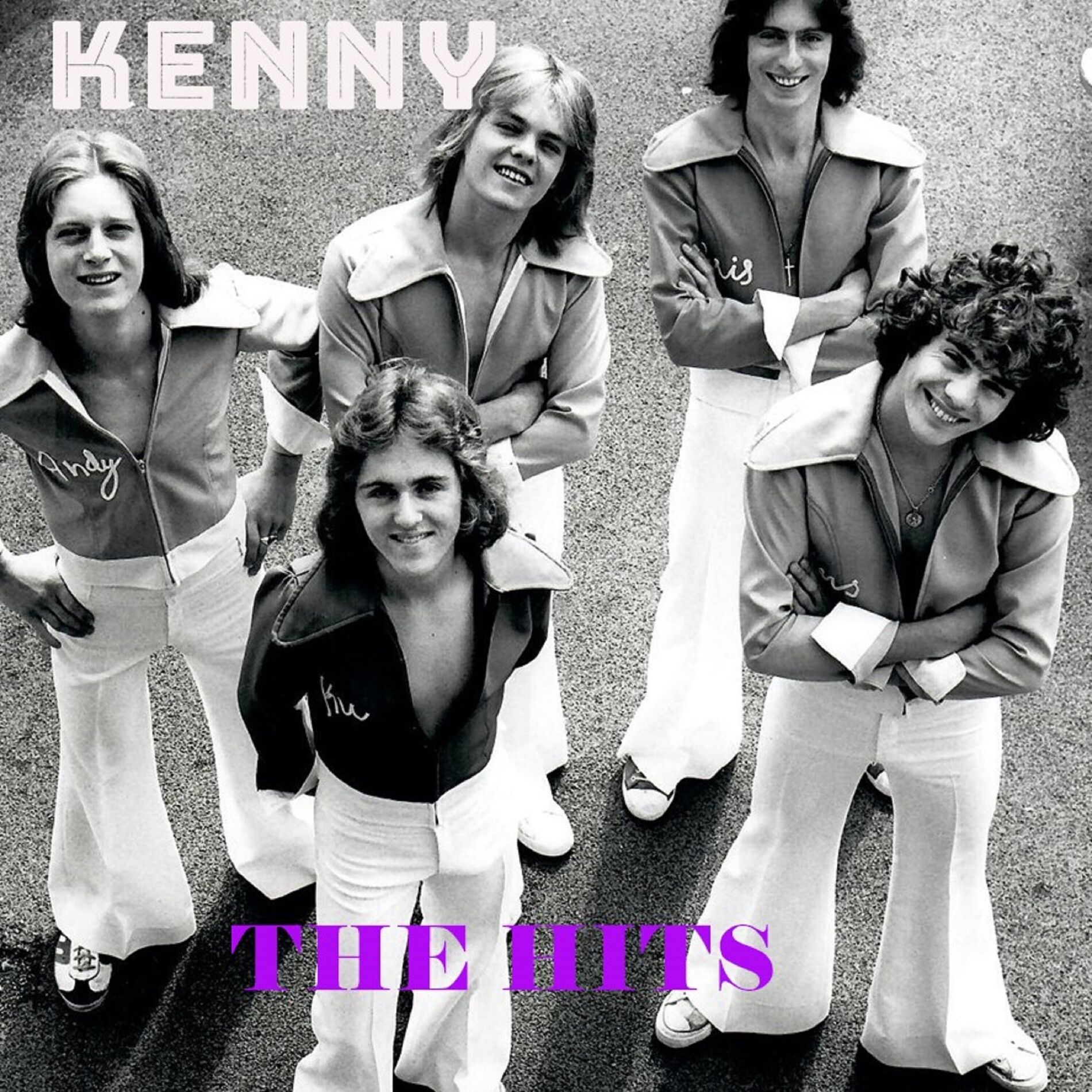 Album cover of The Hits
