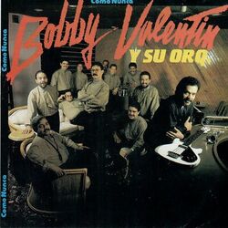 Cover of Como Nunca