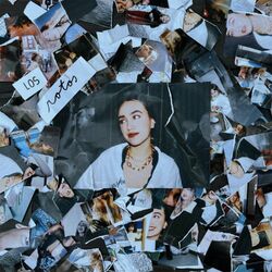 Cover of Los Rotos