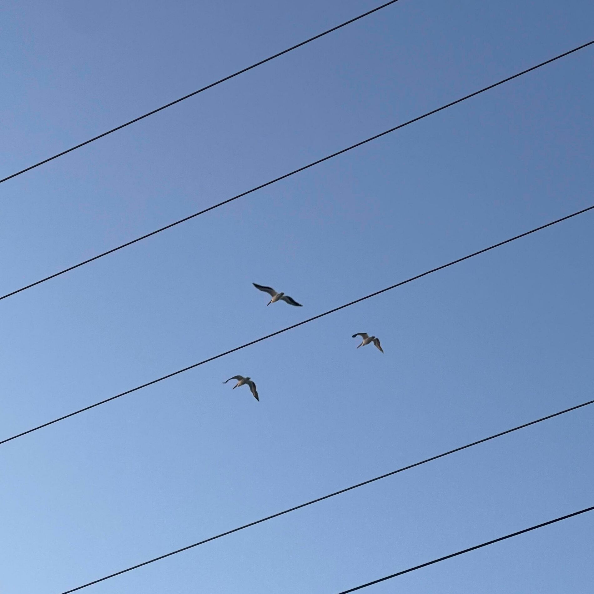 Album cover of pick n choose