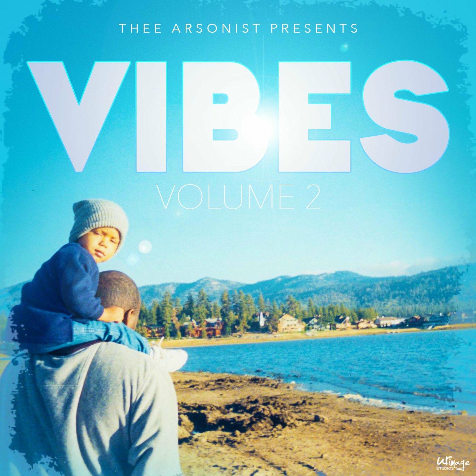 Album cover of Vibes Vol.2