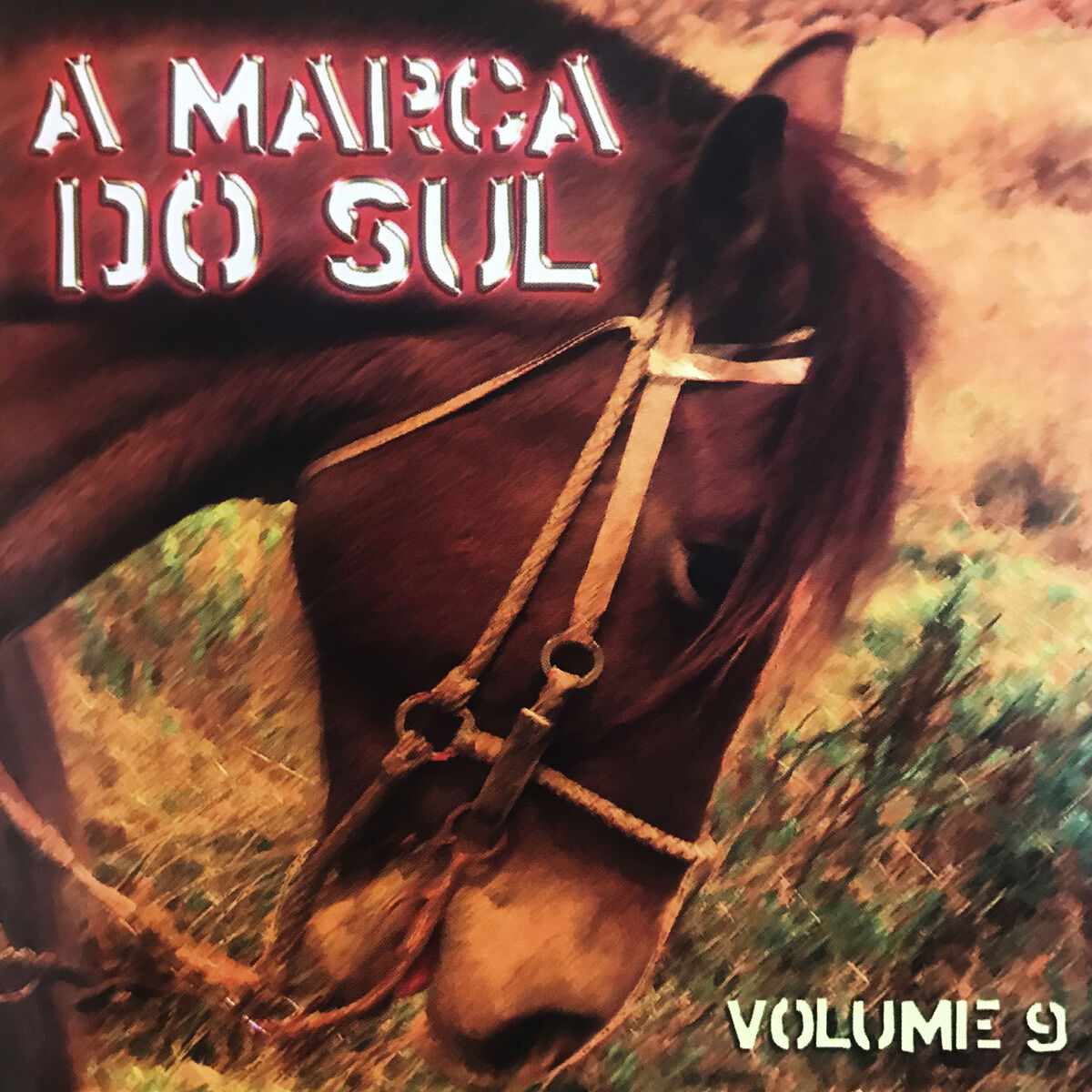 Album cover of A Marca do Sul, Vol. 9