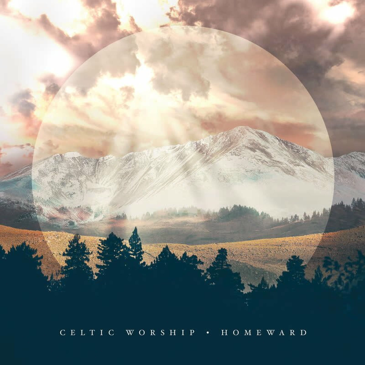 Album cover of Man of Sorrows
