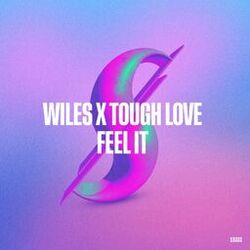 Cover of Feel It