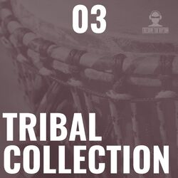 Cover of Tribal Collection Vol.3 (Single)