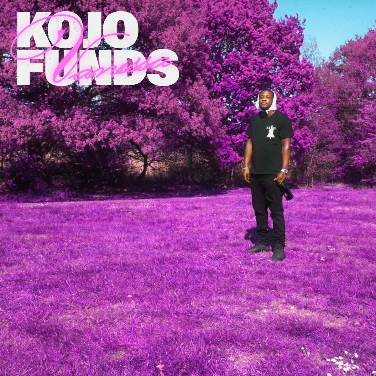 Album cover of Vanessa