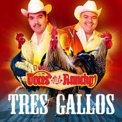 Cover of Tres Gallos