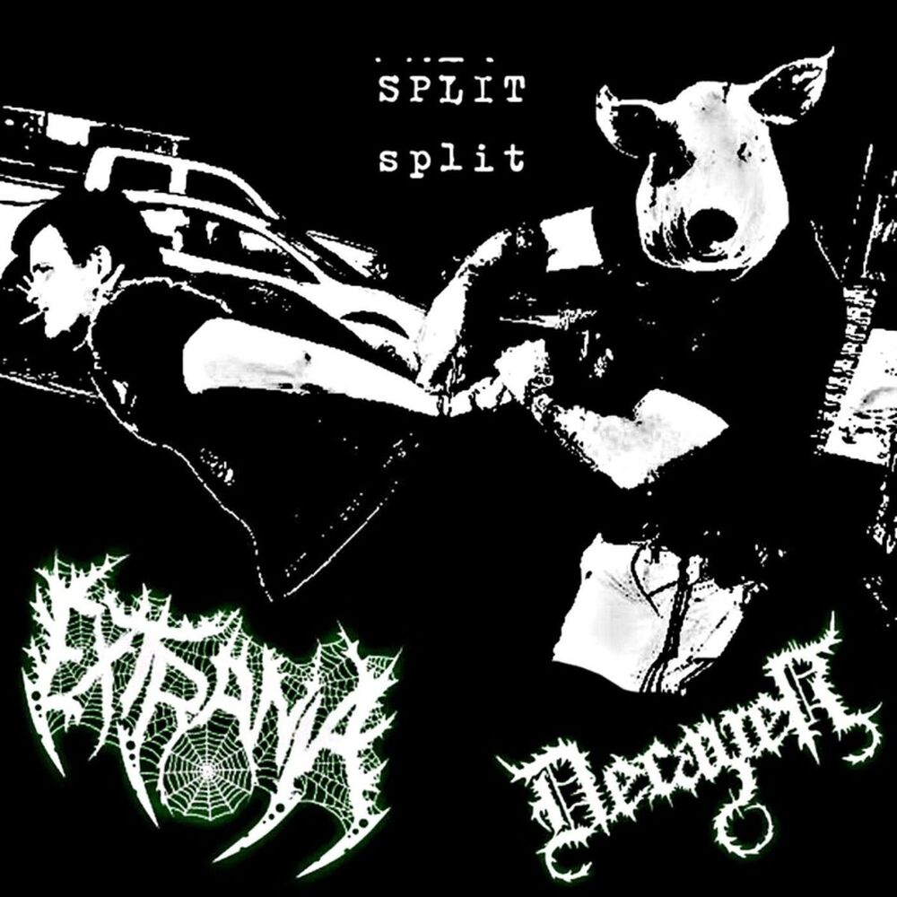 Picture of Split