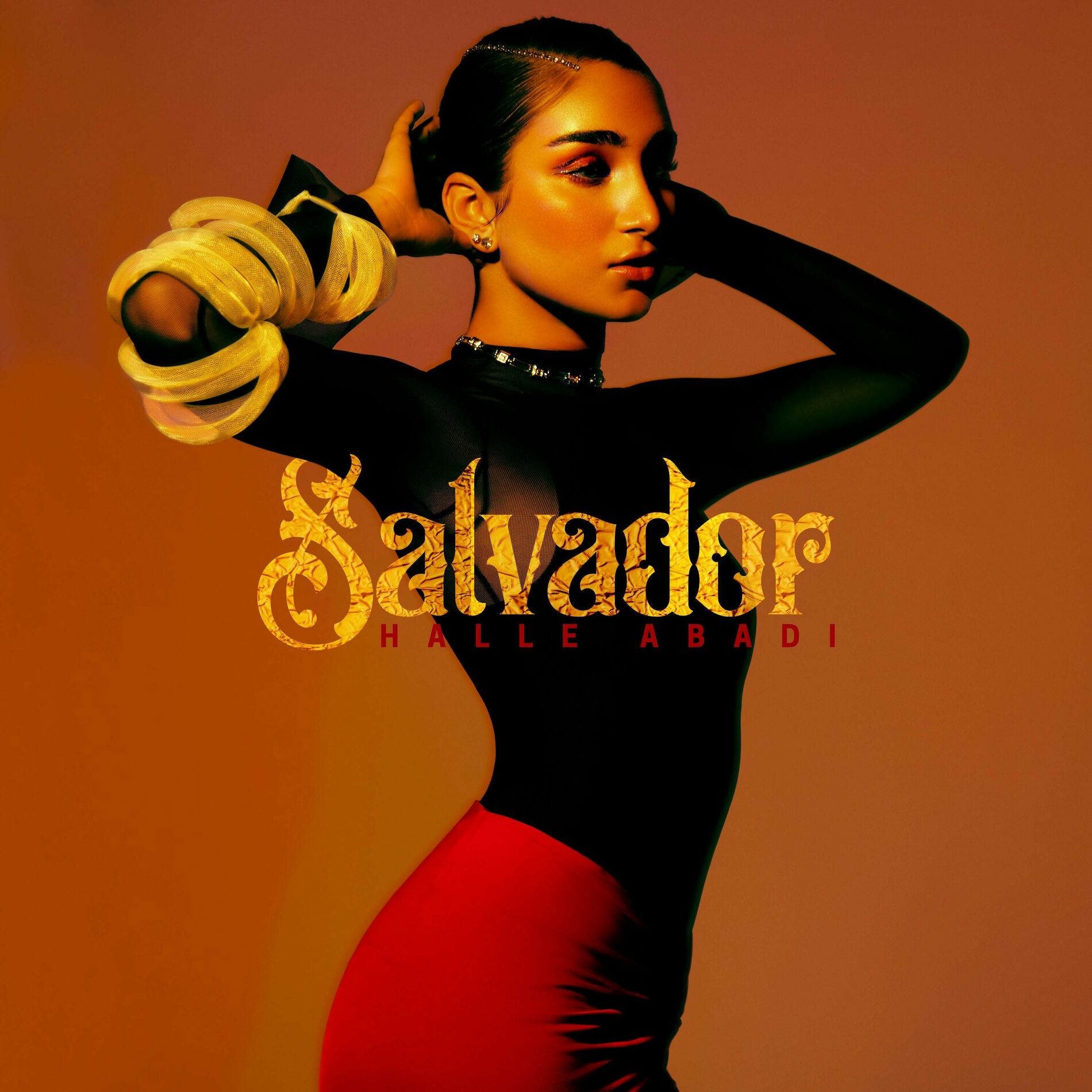Album cover of Salvador