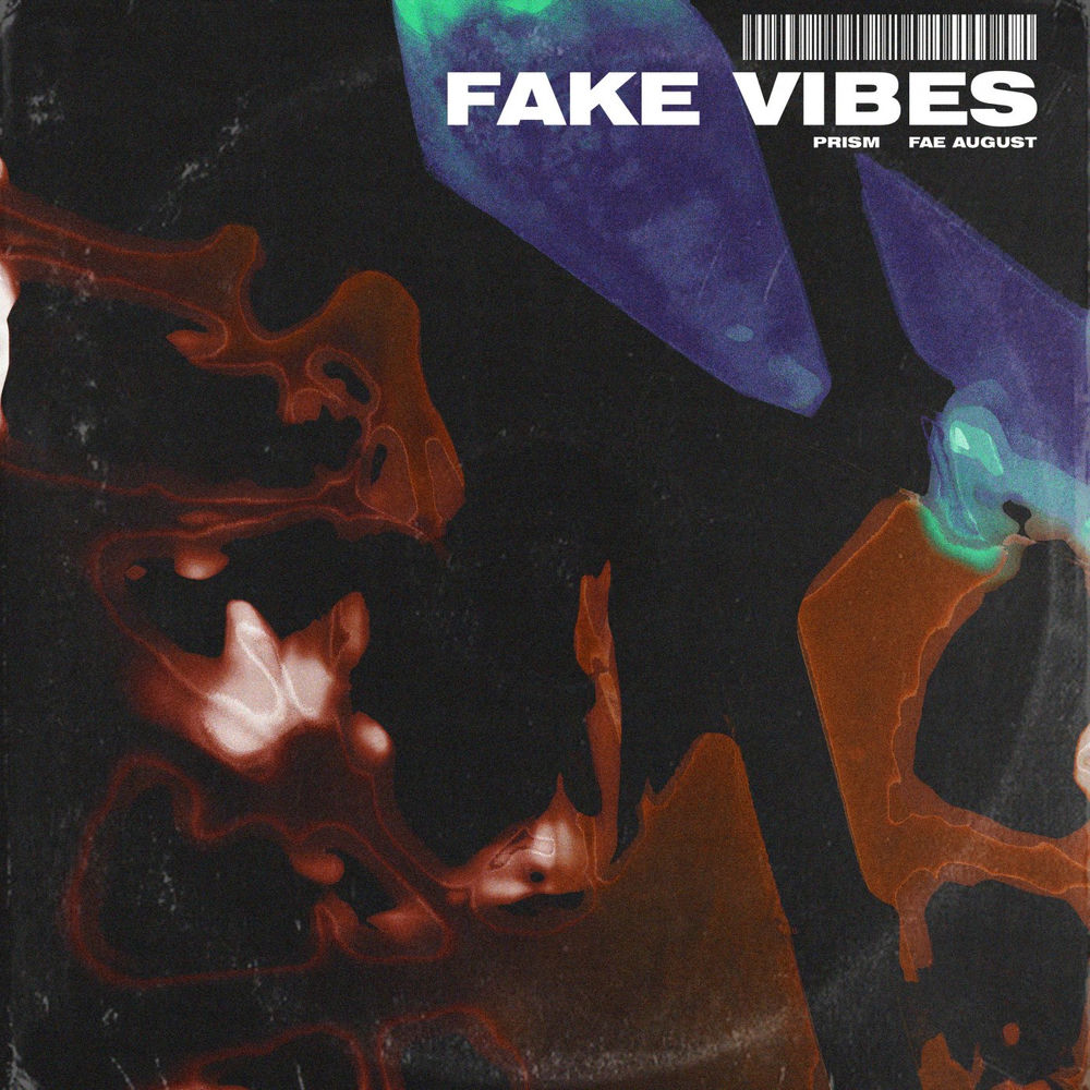 Fake Vibes (Remix) cover